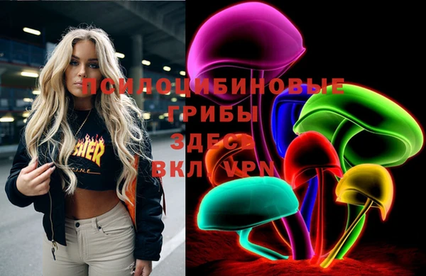 PSILOCYBIN Абинск