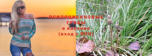 PSILOCYBIN Абинск